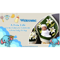 Welcome a New Life: Order Lilies to Celebrate a New Baby Today